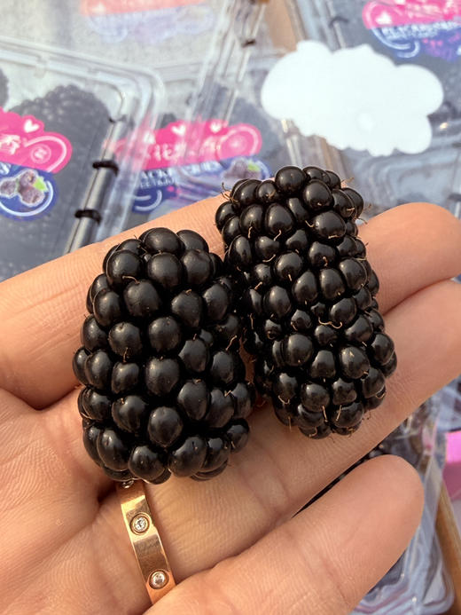 云云花蝶香黑莓 商品图4