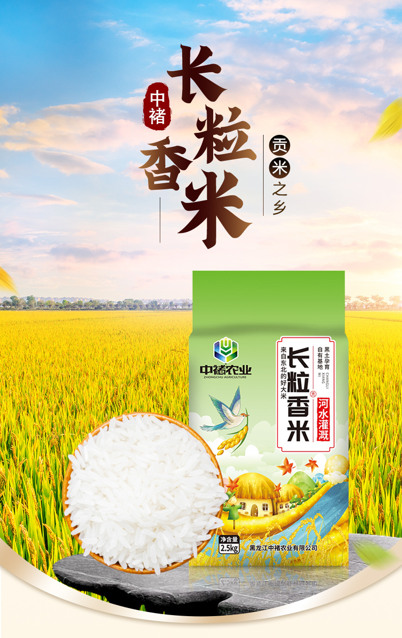 gWyWj/+nzNTvS8WG2Vtdg4tY/ZqiT2ksd93P