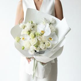 云阶月仪·白蝶寄远