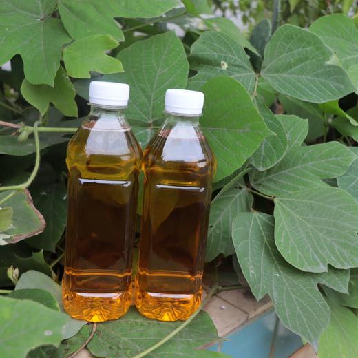 农家纯正压榨茶油500ml山茶油瓶装食用油家用健康茶油正宗茶油 商品图1