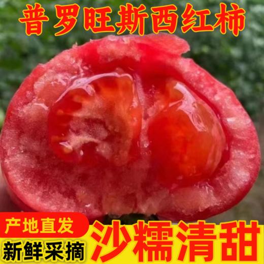 【京东发货】 普罗旺斯西红柿 净重3斤/4.5斤 现摘现发坏果包赔 商品图1