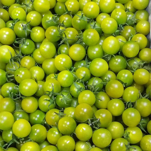石家庄优选仓库速达，青甜小番茄，一口爆汁，皮薄肉嫩，口感脆甜爽口，香甜浓郁，净重约2斤礼盒装 商品图5