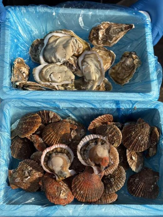 【生蚝+扇贝】 商品图6