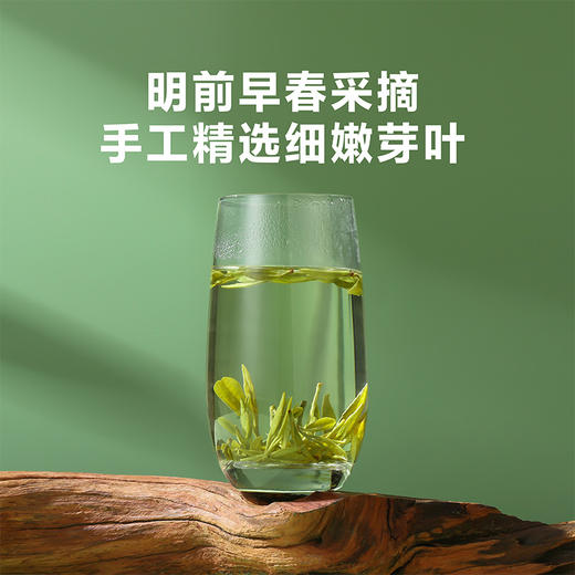 【2026年春茶】八马茶业丨明前采摘越州产区特级品质有机龙井180g 商品图2
