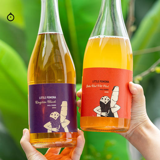 企鹅市集|英国小波莫纳苹果酒 Little Pomona 英国UT排名第一cider 米其林三星同款 商品图9