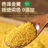 秦食陕西米脂黄小米1.6斤罐装 新小米 油小米 小米粥 杂粮 月子米   /粮油调味 /杂粮 /谷米类 商品缩略图4