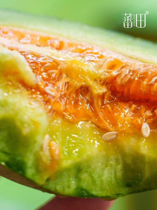 【绿美人香瓜】17°+自然甜，果肉透亮如冰种翡翠，入口化水无渣感-CC 商品图9