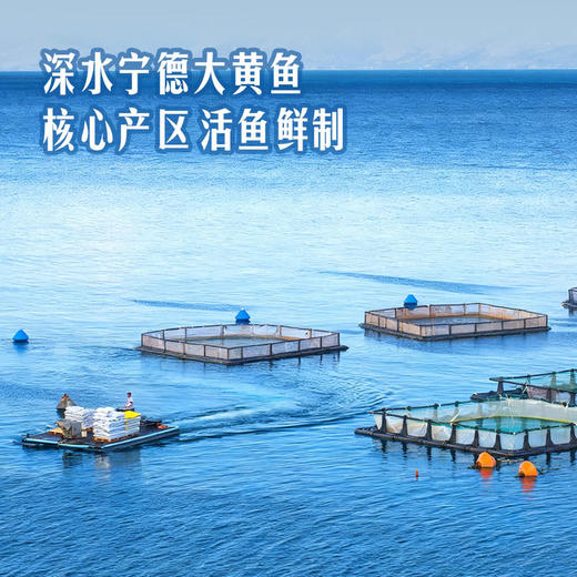 MM 山姆 黄鱼鲞 1.1kg 商品图4