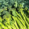 『福建甜杆芦笋西蓝薹』长杆西兰花，清新甜嫩，鲜脆爽口，顶冠和茎秆都可以食用 商品缩略图14