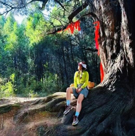 五一4天【徒步古蜀道 立减50元】一条古蜀道-半部华夏史の徒步金牛古蜀道-剑阆古蜀道-剑门关-昭化古城-不夜三国城-广元 商品图0