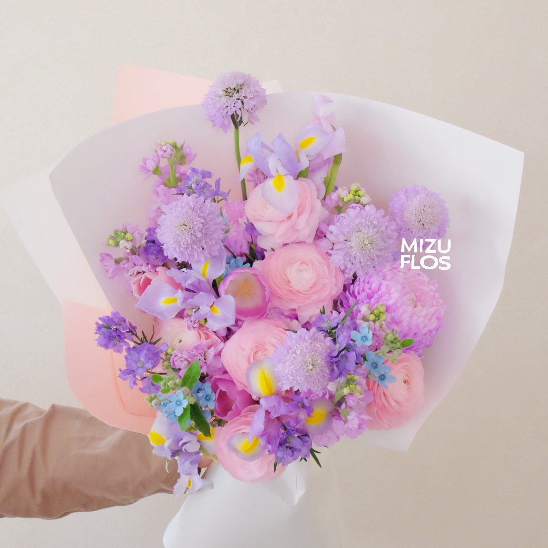 / 繁 花 浅 梦/（今日现花）