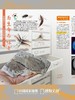 博物杂志 2026年4月刊 鼯鼠
封面故事 翼装飞行鼻祖 商品缩略图9
