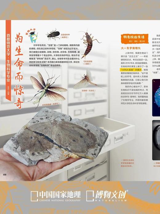 博物杂志 2026年4月刊 鼯鼠
封面故事 翼装飞行鼻祖 商品图9