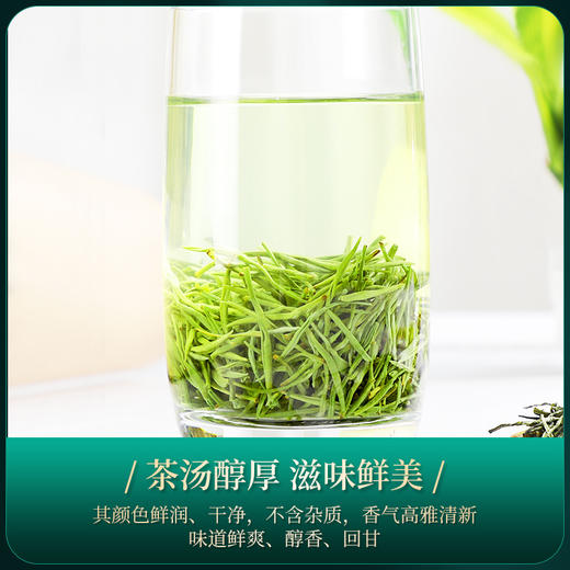【2026年新茶预售】茶马世家丨信阳毛尖 河南名优绿茶 特级 意境 礼盒装 250g，新茶预计4月10日发货 商品图11