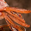 香辣手撕鱼干即食下饭菜酱板鱼零食小吃熏鱼小鱼仔湖南特产下酒菜 商品缩略图2