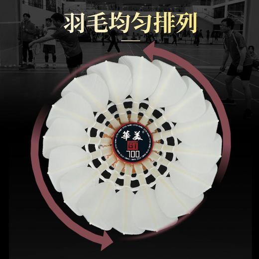 华美GT700鹅毛羽毛球飞行稳定耐打不易烂俱乐部专业比赛12只77速 商品图1
