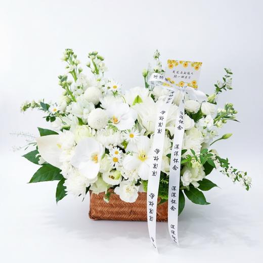 陌途同归 商品图0