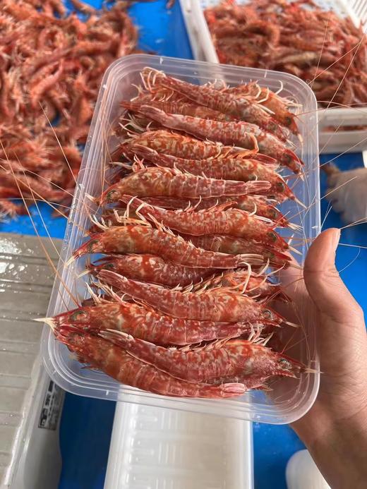 L''今日樱花虾上新～ 肉质紧实鲜甜，鲜度拉满！ 商品图0