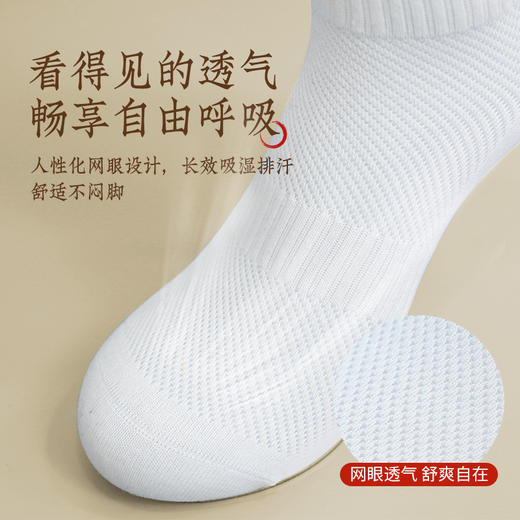⁴【旧包装清仓19.9元6双】成人棉袜子 均码适35-43码 含93%新疆棉 原49.9元/盒 网眼袜 舒适不闷脚YC04-CR-YQYX 商品图3