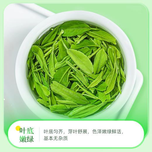 茶马世家丨早春恩施玉露 绿茶 明前特级 圆罐 100g 商品图8