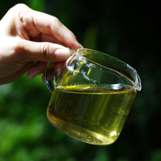 【头春尝鲜】2026年百花潭散茶50克 商品图2