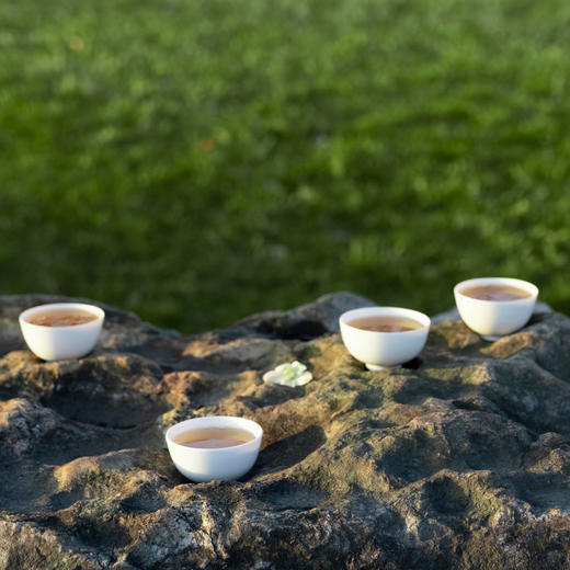 春日限定风味集｜萌春之生 商品图2