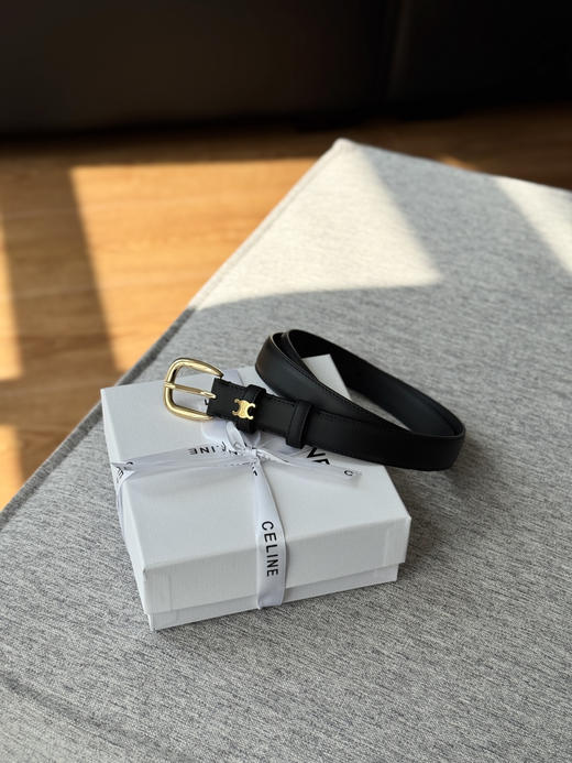 赛琳 皮带 2.5cm （DY） 商品图3