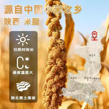 秦食陕西米脂黄小米1.6斤罐装 新小米 油小米 小米粥 杂粮 月子米   /粮油调味 /杂粮 /谷米类 商品图1