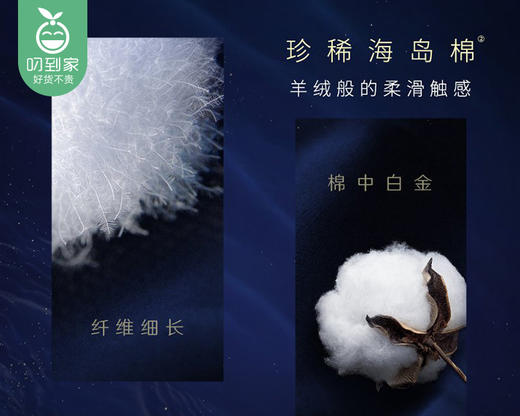 高洁丝海岛奢宠纯棉卫生巾夜用*2包（350mm*5片/包）生产日期: 1月 商品图2