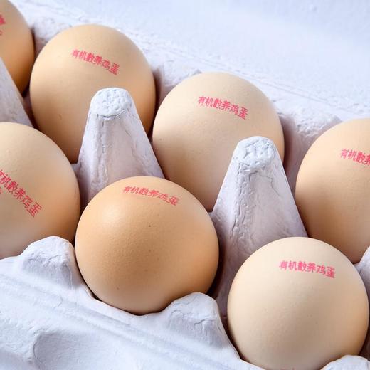 有机散养鸡蛋10枚 商品图1