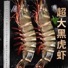 【比手掌还大的黑虎虾】超大黑虎虾/黑虎虾王 净重2.8斤装 商品缩略图7