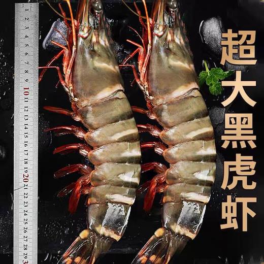 【比手掌还大的黑虎虾】超大黑虎虾/黑虎虾王 净重2.8斤装 商品图7