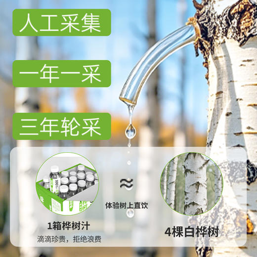 臻心桦桦树汁富含多种营养元素 商品图2