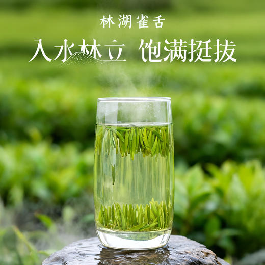 川红 2026新茶特级林湖雀舌碧螺春明前  新茶绿茶组合装60g 商品图5