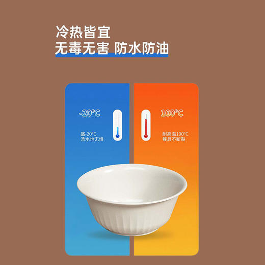 MT一次性餐盘套装一次性餐具-纪念日百货门店同款171044569 商品图4