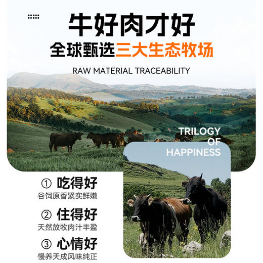 【袋鼠先生】轻卤牛肉55g  好牛肉只加盐 商品图2