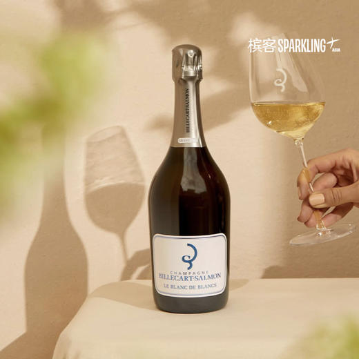 Billecart-Salmon Le Blanc de Blancs Grand Cru 沙龙贝尔白中白香槟 750ml & 1.5L&3L 商品图4