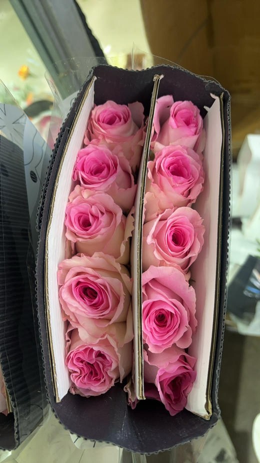 丽江洛神 商品图1