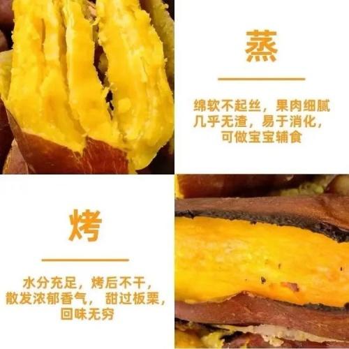 蜂蜜面包薯 商品图3