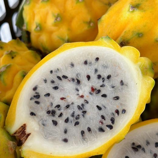 海南黄金燕窝果 商品图0