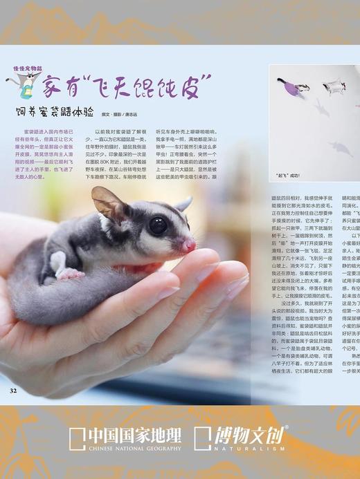 博物杂志 2026年4月刊 鼯鼠
封面故事 翼装飞行鼻祖 商品图5