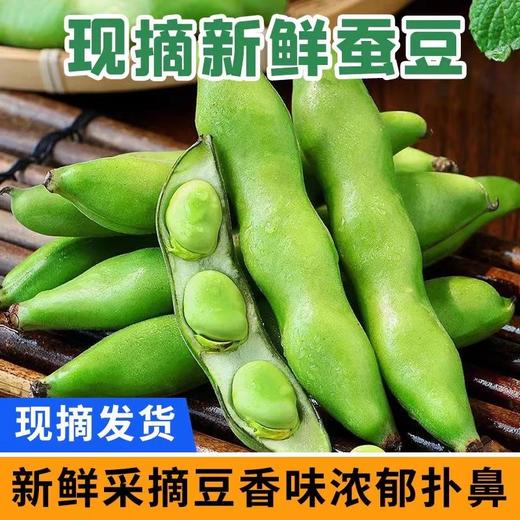 新鲜现摘蚕豆带壳 商品图1