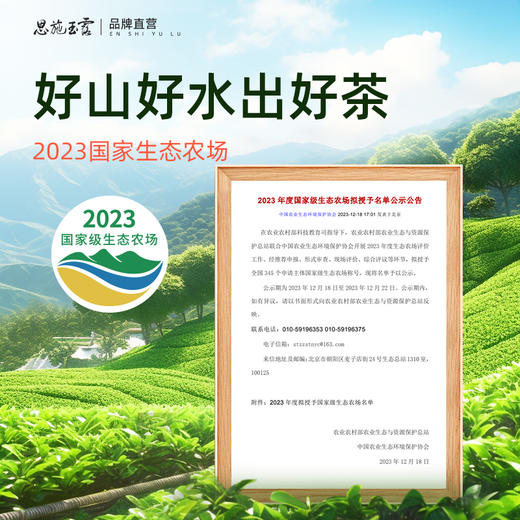 茶马世家丨恩施玉露 湖北绿茶 明前特级 甄选头采礼盒装 200g 商品图2