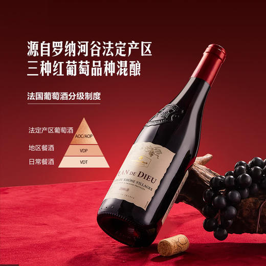 MM 山姆 Member's Mark 法国进口 罗纳河谷村庄红葡萄酒 750ml 商品图2