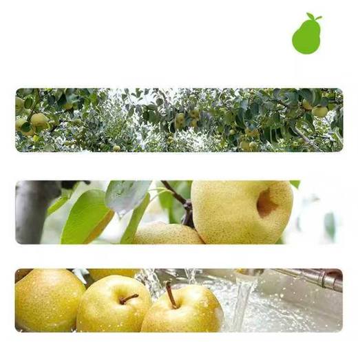 【长轻优选补贴】喜善花房纯梨膏70/盒 商品图3