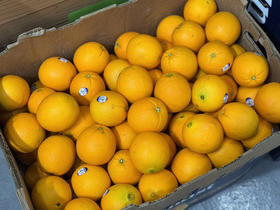 美国新奇士橙（散装68/10个）