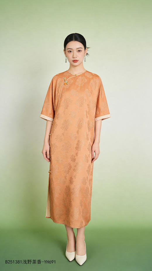 B251381连衣裙 商品图0