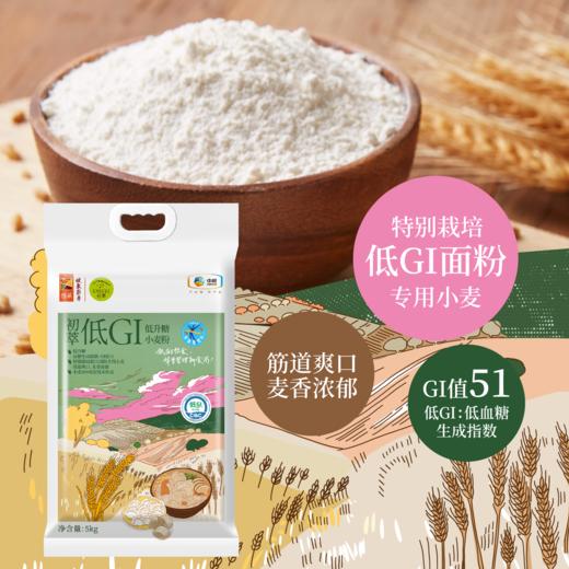中粮初萃低GI低升糖面粉5kg 商品图1