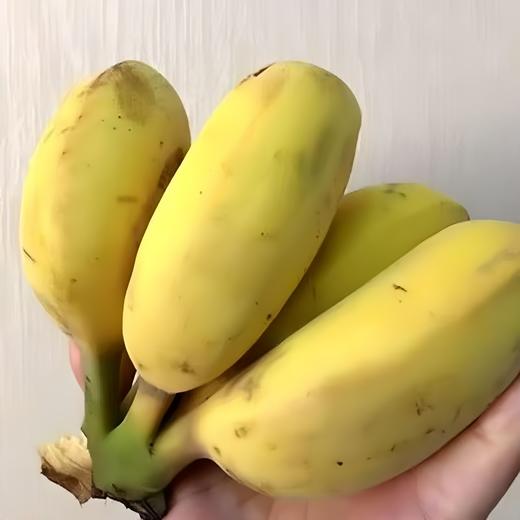 有机丑芭蕉（粉蕉） 4.8斤 商品图6