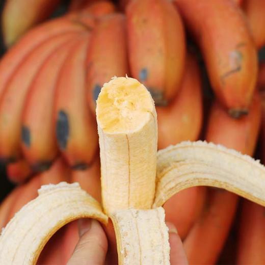 3斤家庭装【蜜麒麟娇蕉-美人蕉】软糯香甜  香蕉 果肉Q弹，还自带一股淡淡的兰花香味 商品图3